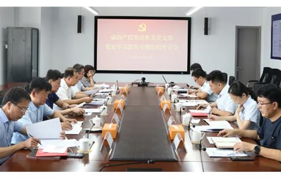 麻豆成人
党委组织召开党史学习教育专题组织生活会